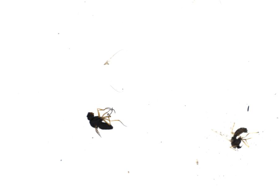 Image 49